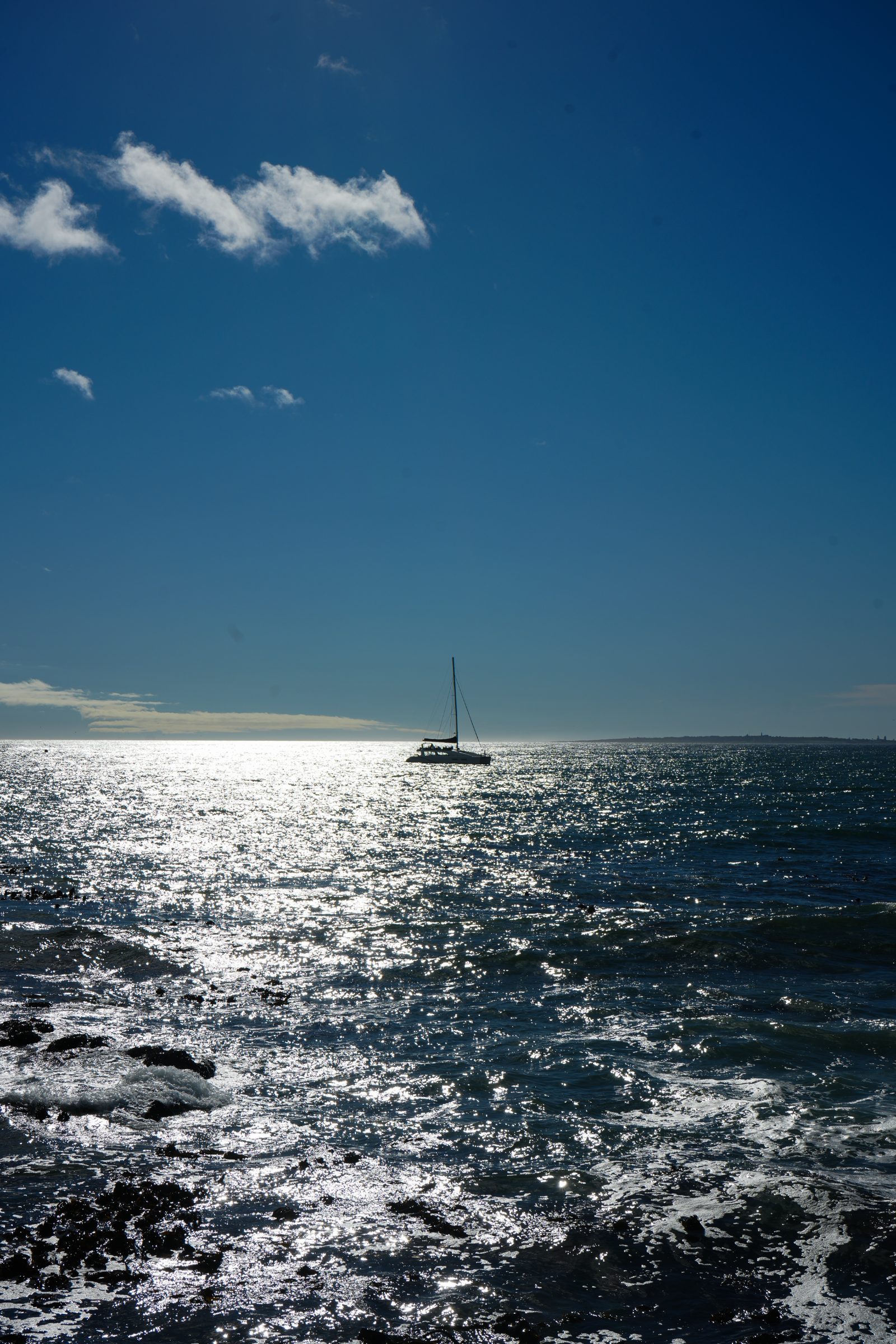 1785066151506 DSC04956 2